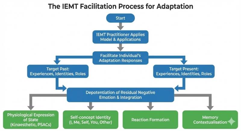 adaptation-facilitation-model.jpg adaptation-facilitation-model.jpg