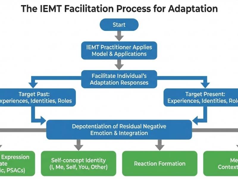 adaptation-facilitation-model.jpg
