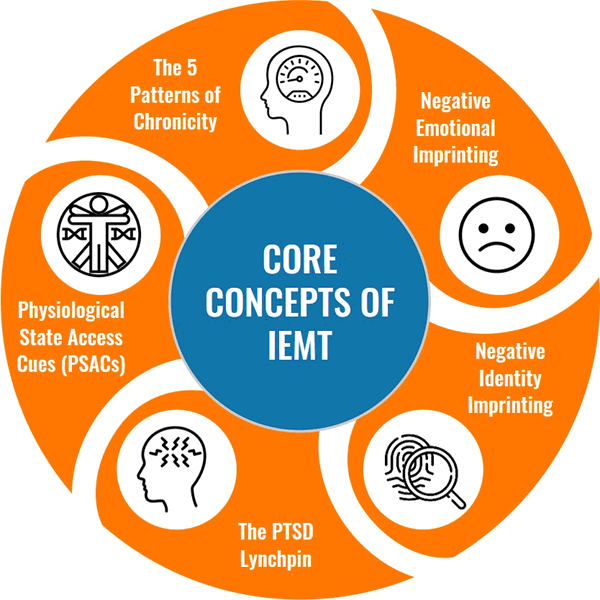  IEMT presuppositions